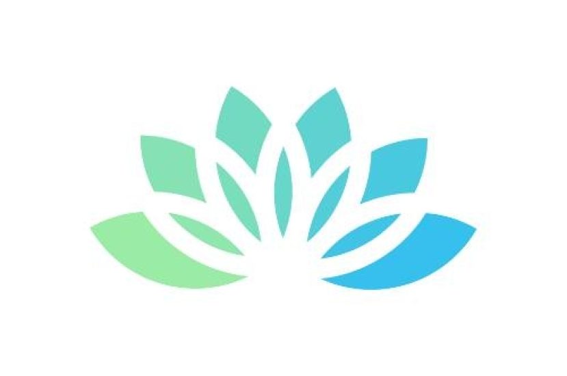 Website Design & Development Services USA & India