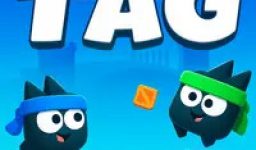 Tag – A Simple Yet Timeless Childhood Game