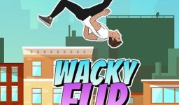 wacky flip