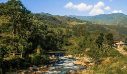 Unforgettable Ghorepani Poon Hill Trek Through the Annapurna Region